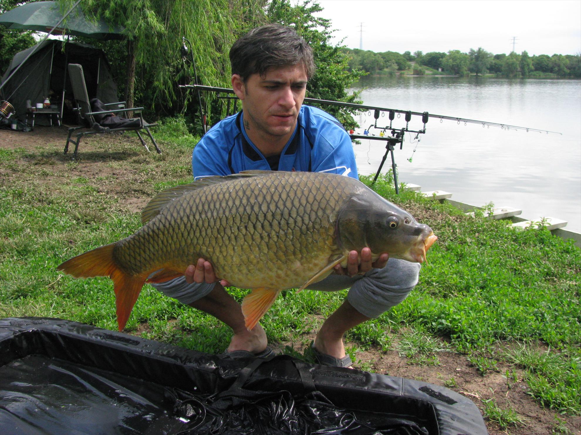 Poze 19-21.05.2012 Tancabesti Avicola 2 - img0151.JPG